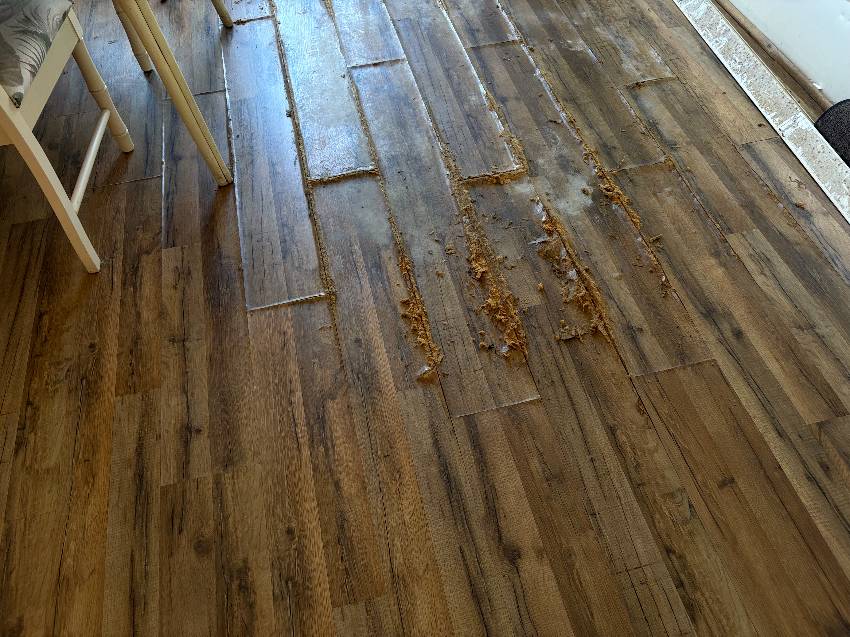 930 Orinoco W a Venice, FL Mobile or Manufactured Home for Sale